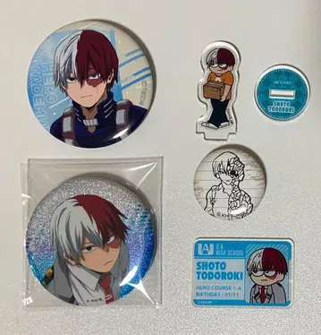 [ 5세트 ] 토도로키 쇼토 묶음 판매 히어로 플라자