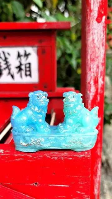 머리 순환의 시원한 시사 오르가나이트