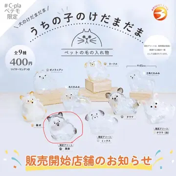 우리 집 털뭉치