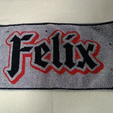 StrayKids 필릭스 에코파 머플러 타월