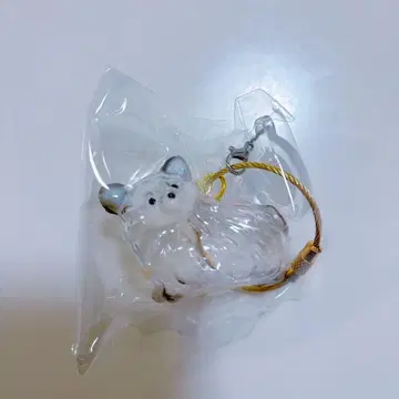 우리 아이 털뭉치 치와와 가챠가챠 강아지