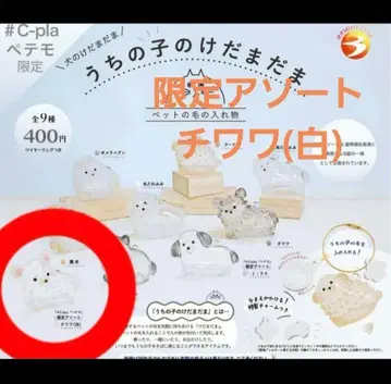 우리 아이 털뭉치 치와와 (화이트) 한정판 모듬