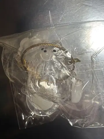 털뭉치 포메라니안