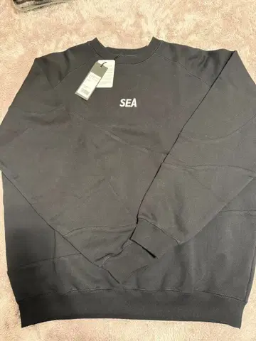 windandsea 트레이닝복 L 사이즈 미사용 새상품