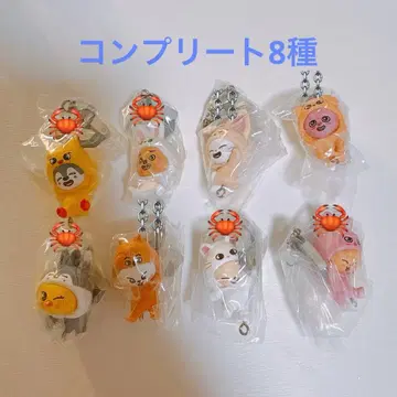 SKZOO 츳만데츠나게테마스코토 컴플리트 8개 세트