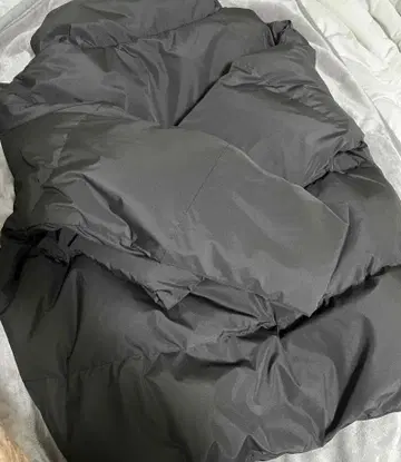 숏 다운 폰타 님