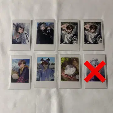 Crazy Raccoon CR 셀피 카드 정리