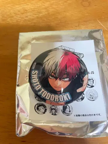 나의 히어로 아카데미아 유리 마그넷 토도로키 쇼토