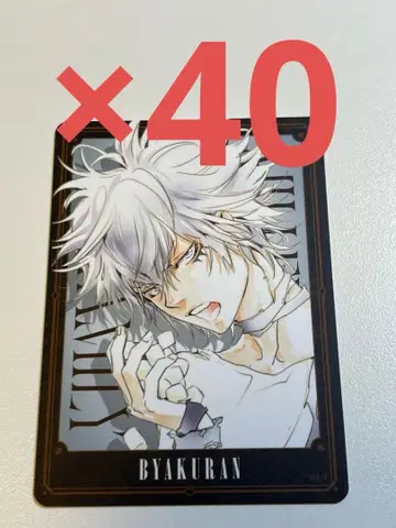 REBORN 보드게임 백란2 40장 세트