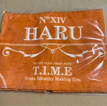 초특급 하루 카시와기 유 T.I.M.E 타월 아레나 투어 응원봉