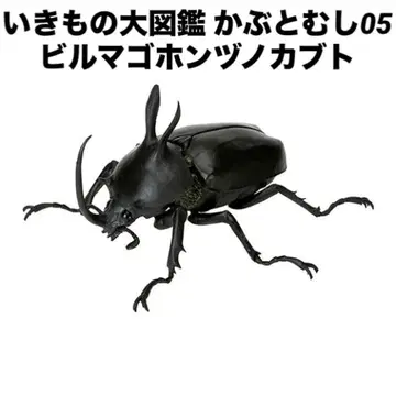 [ 미개봉 새상품 ] 생물대도감 딱정벌레05 생물대도감 버마쿠스