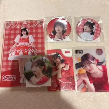 [세트 판매] FRUITSZIPPER 츠키아시 아마네 3주년 스키복권