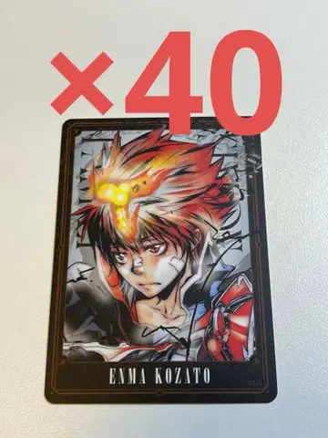 REBORN 보드게임 후루사토 엔신 2 40장 세트