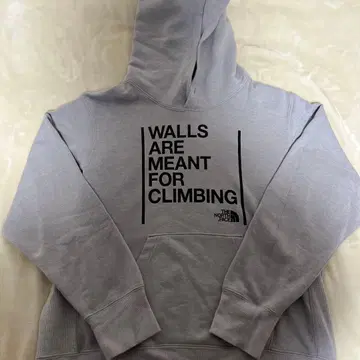 THE NORTH FACE 그레이 후드티