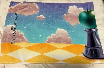 미세스 그린애플 합동 라이브 공연 밴드 타월