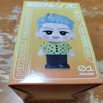 스노우 칠 소프트 비닐 이와모토 테루 씨