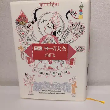 도설 요가 대전