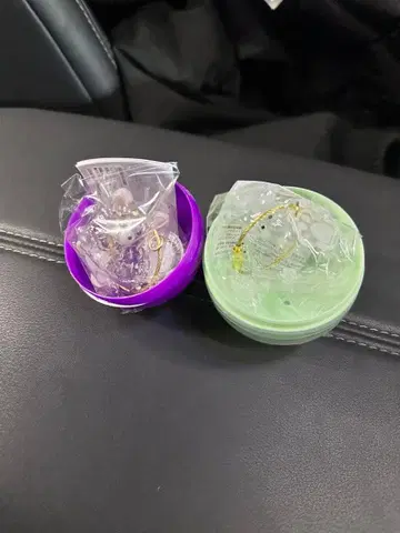 우리 아이 털뭉치 강아지 동그란 귀 치와와 화이트