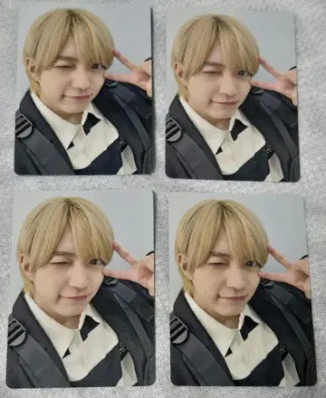 나니와단시 니시하타 다이고 트레이딩 카드 낱개 판매 가능