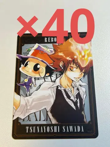 REBORN 보드게임 리본 사와다 츠나요시 240장 세트