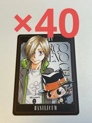 REBORN 보드게임 리본 바질 40장 세트