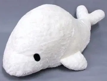 화이트 고래 봉제 인형 빅