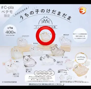 우리 아이 털뭉치 푸들