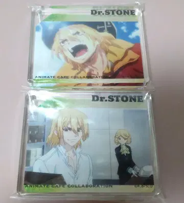Dr.STONE 애니카페 코롯타 류스이