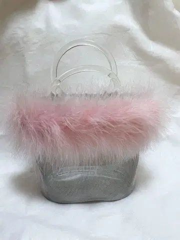 the Virgins clear ring vanity bag