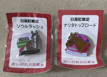 히다카초 한정판 서울 러쉬 나리타 탑 로드 핀 배지 세트