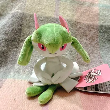 킬리아 포켓몬 핏 봉제 인형 pokemonfit