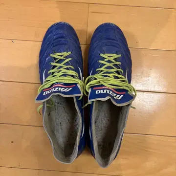 모렐리아 네오 3