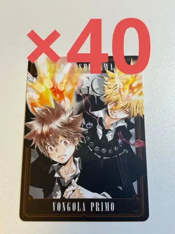 REBORN 보드게임 프리모 사와다 츠나요시 40장 세트