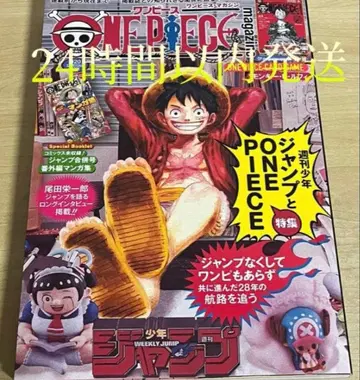 원피스 매거진 미개봉 프로모 포함