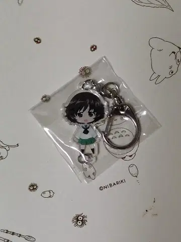 아키야마 유카리 BVC 한정판 걸즈 & 팬츠 아크릴 컬렉션