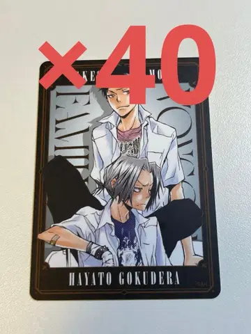 REBORN 보드게임 야마모토 타케시 고쿠데라 하야토 40장 세트