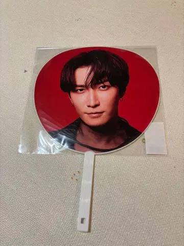 와타나베 쇼타 점보 부채 DOMETOUR 2025-2026 ON