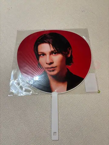 라울 점보 부채 DOMETOUR 2025-2026 ON