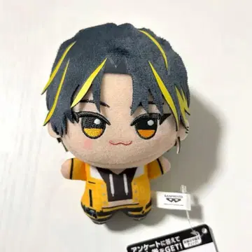 택 포함 새상품 Meteorites 꼬마 인형 아카리 라이토