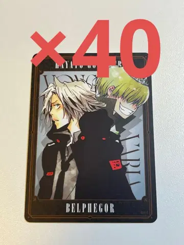 REBORN 보드게임 벨페골 고쿠데라 하야토 40장 세트