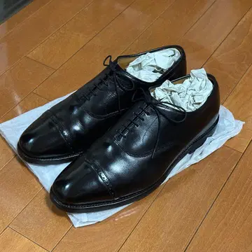 Allen Edmonds Byron 10.5/D