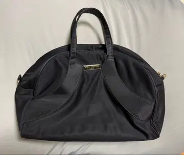 안나 크리스티나 보스턴 백