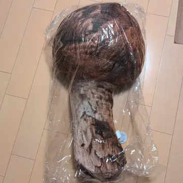 송이버섯 쿠션 빅 버섯 쿠션