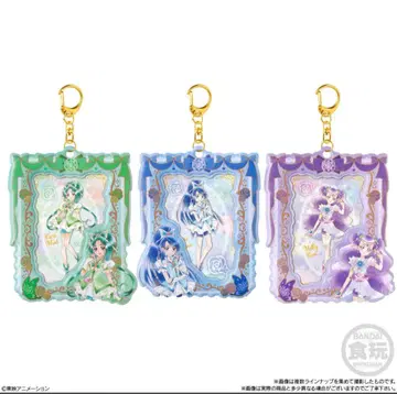 프리큐어 5 밀키 로즈 트레이딩 카드 홀더