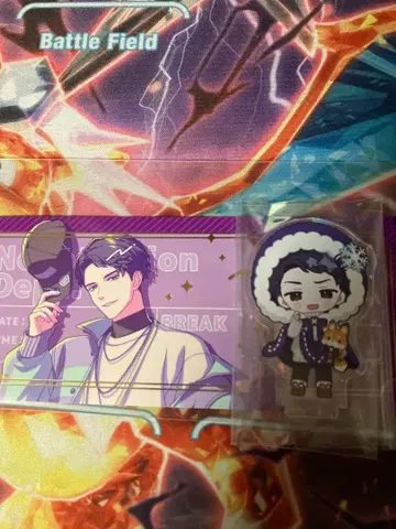 블레이크 마이 케이스 애니메이트 타테시나