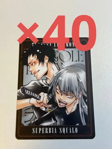 REBORN 보드게임 스쿠알로 야마모토 다케시 40장 세트