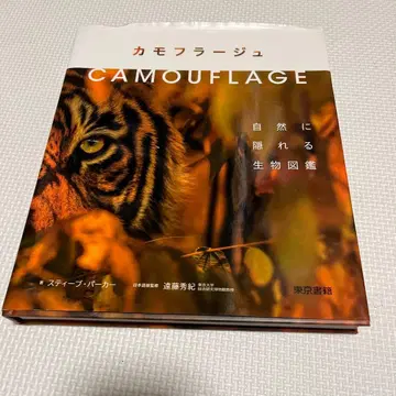 카모플라쥬 : 자연에 숨는 생물 도감