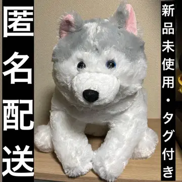 푹신푹신 시베리안 허스키 BIG 봉제 인형 AMUFUN