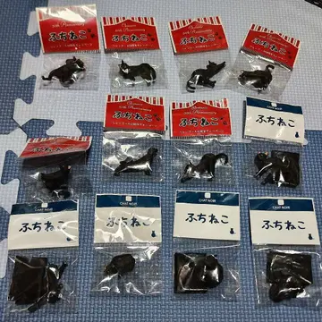 샤노아르 50주년 기념 복슬복슬 고양이 검은 고양이 12개