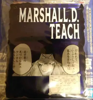 티치 366days 검은 수염 원피스 베이스 아크릴 블록